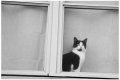 fra_court_chat voyeur